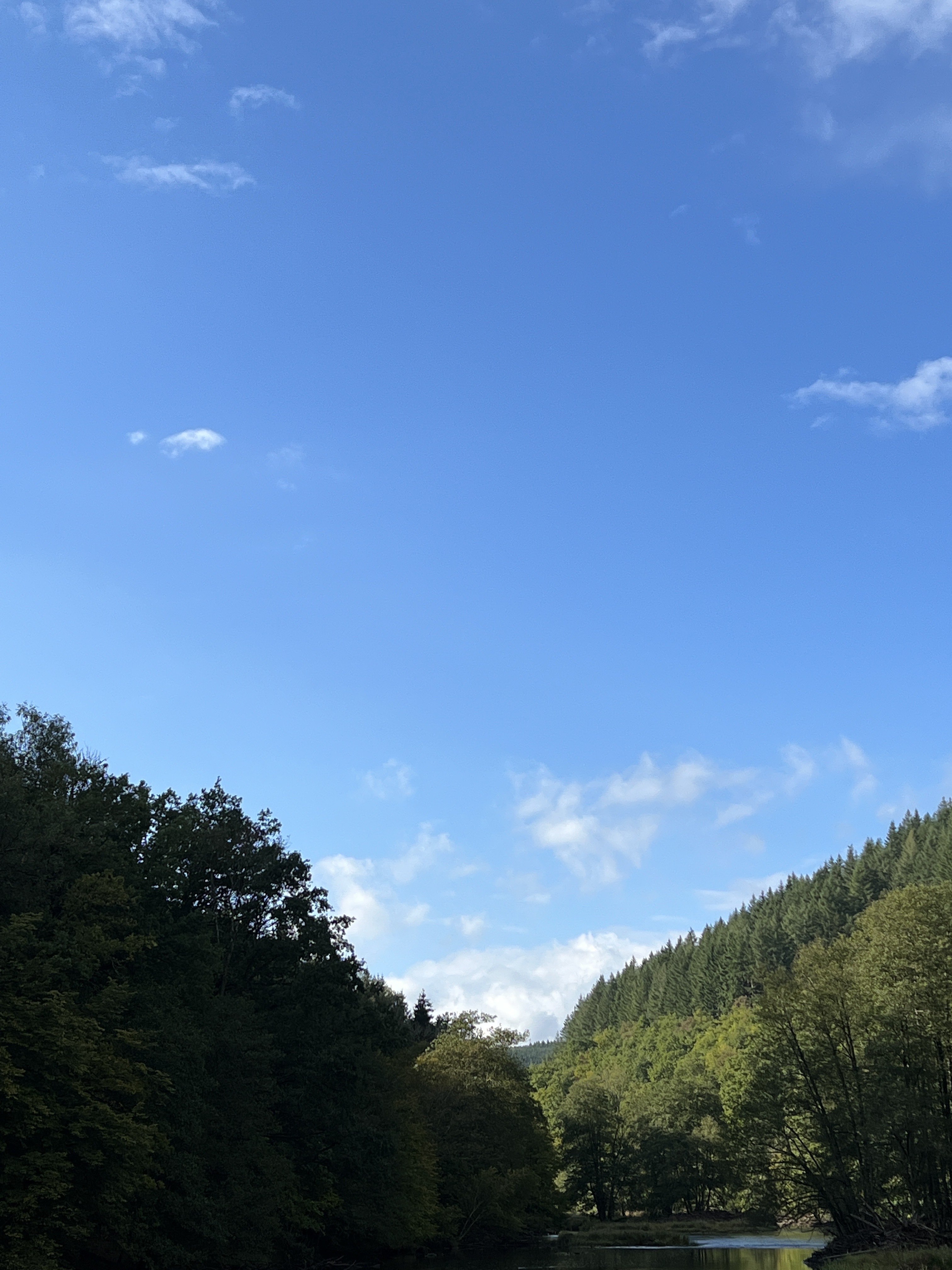 View in the Ardenne - Belgium