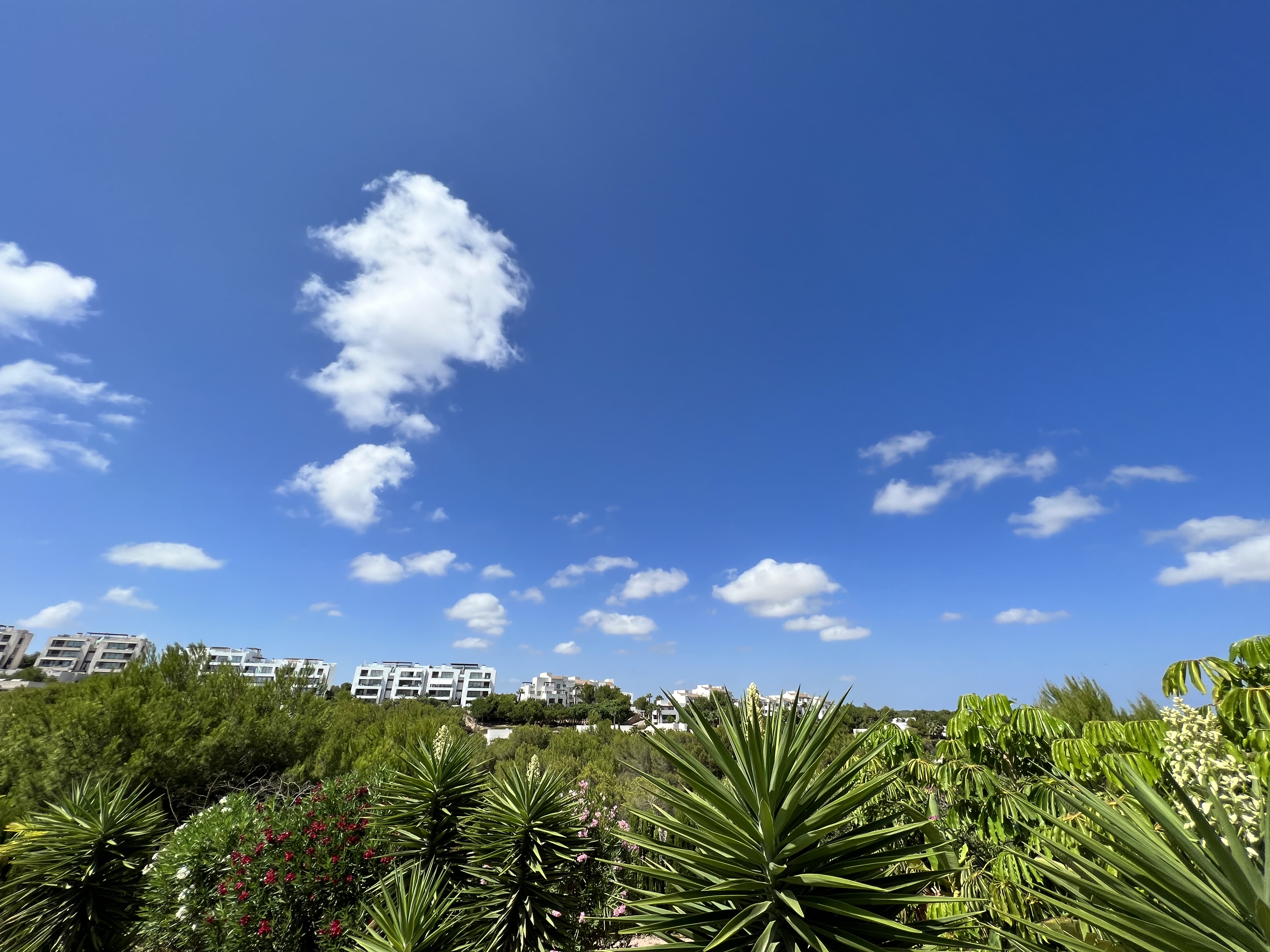 Alicante