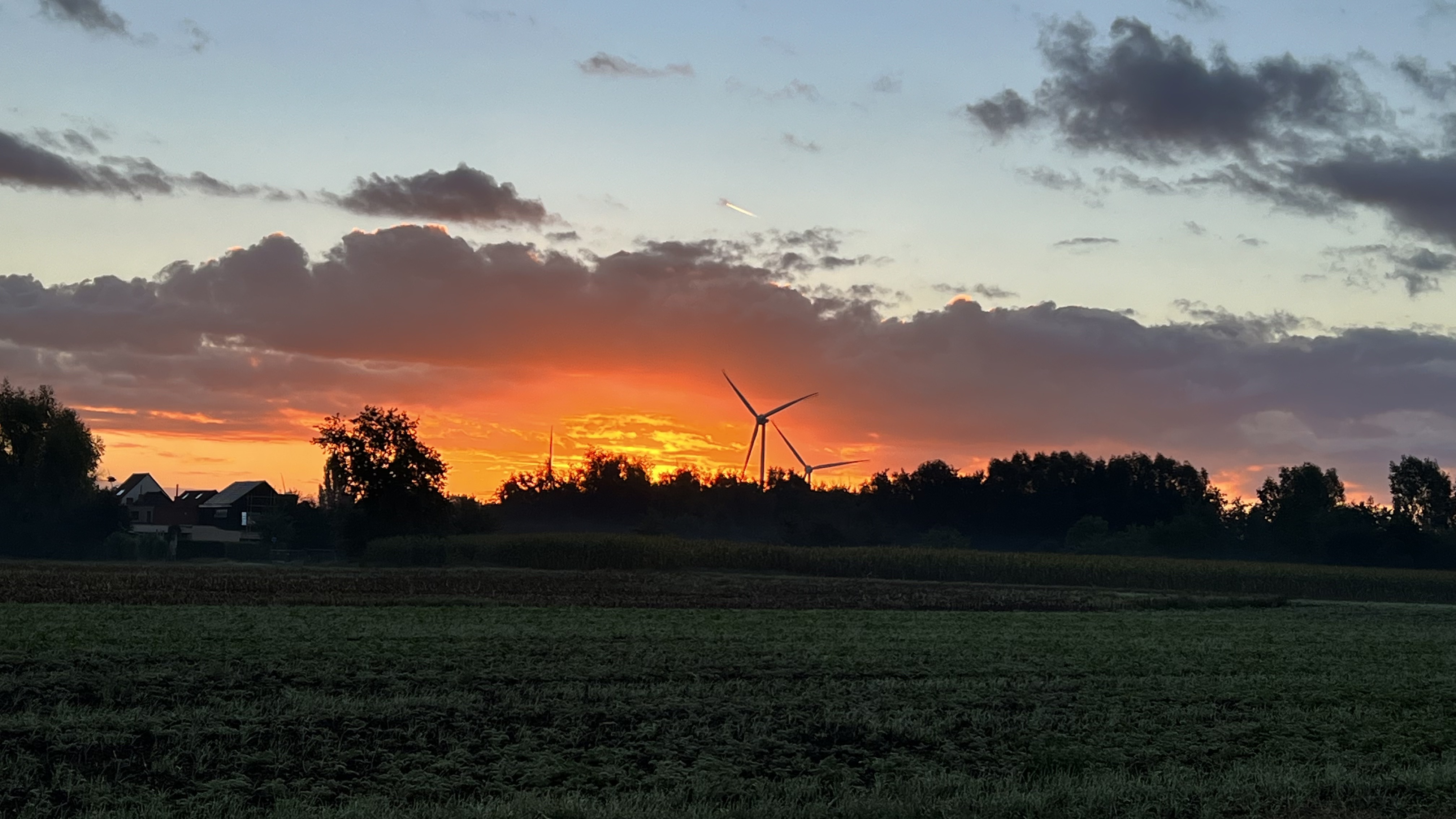 Beautiful Sunset