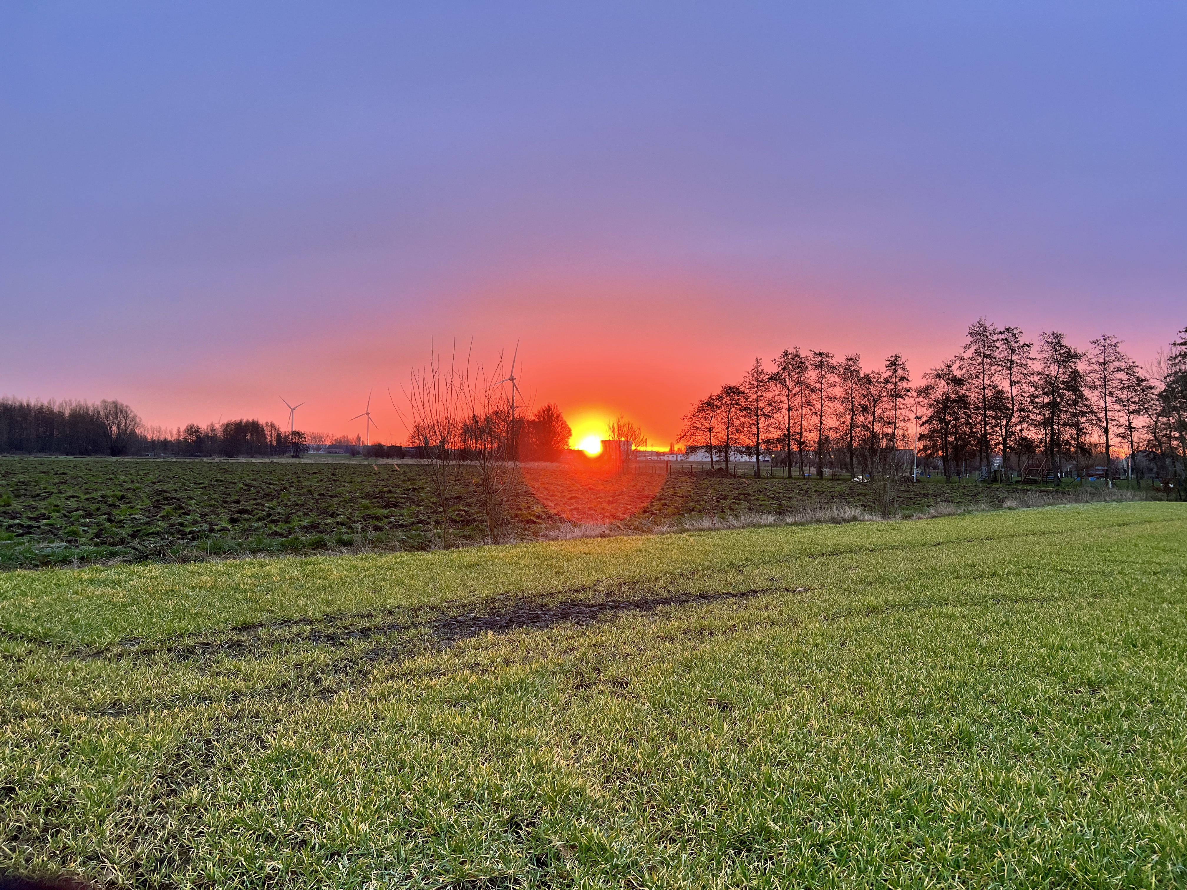 Beautiful Sunrise
