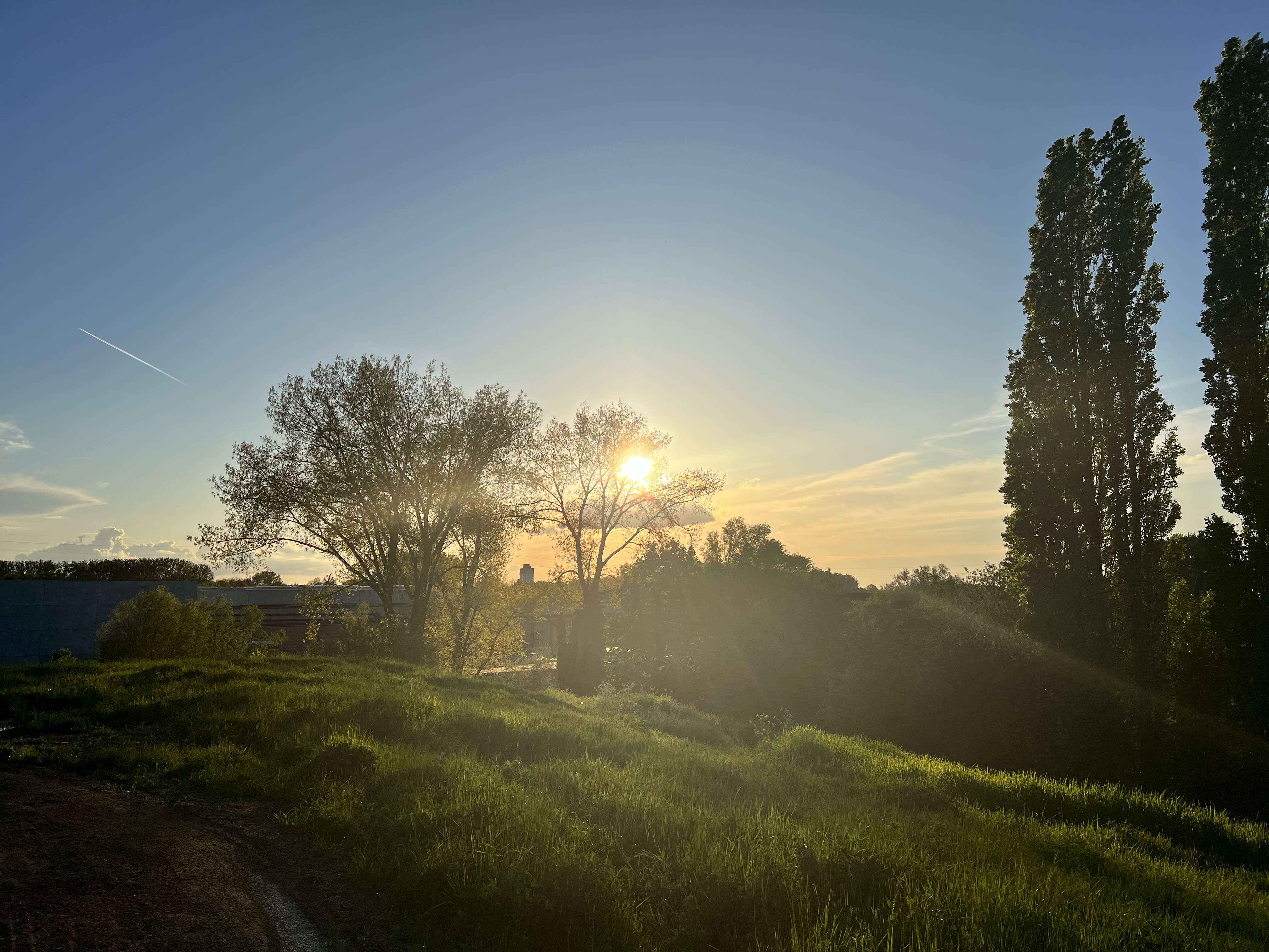 Sunrise