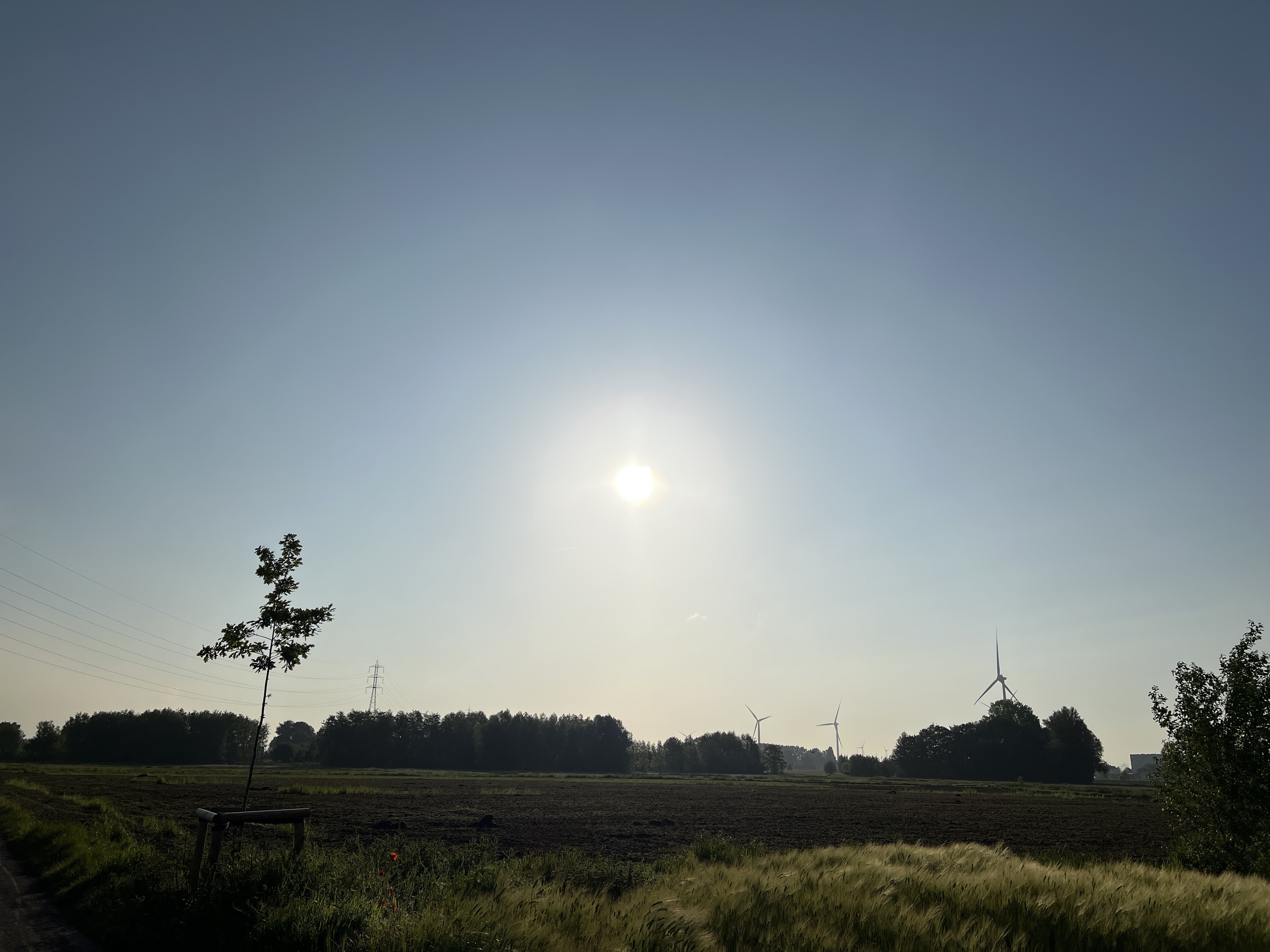 Sun high