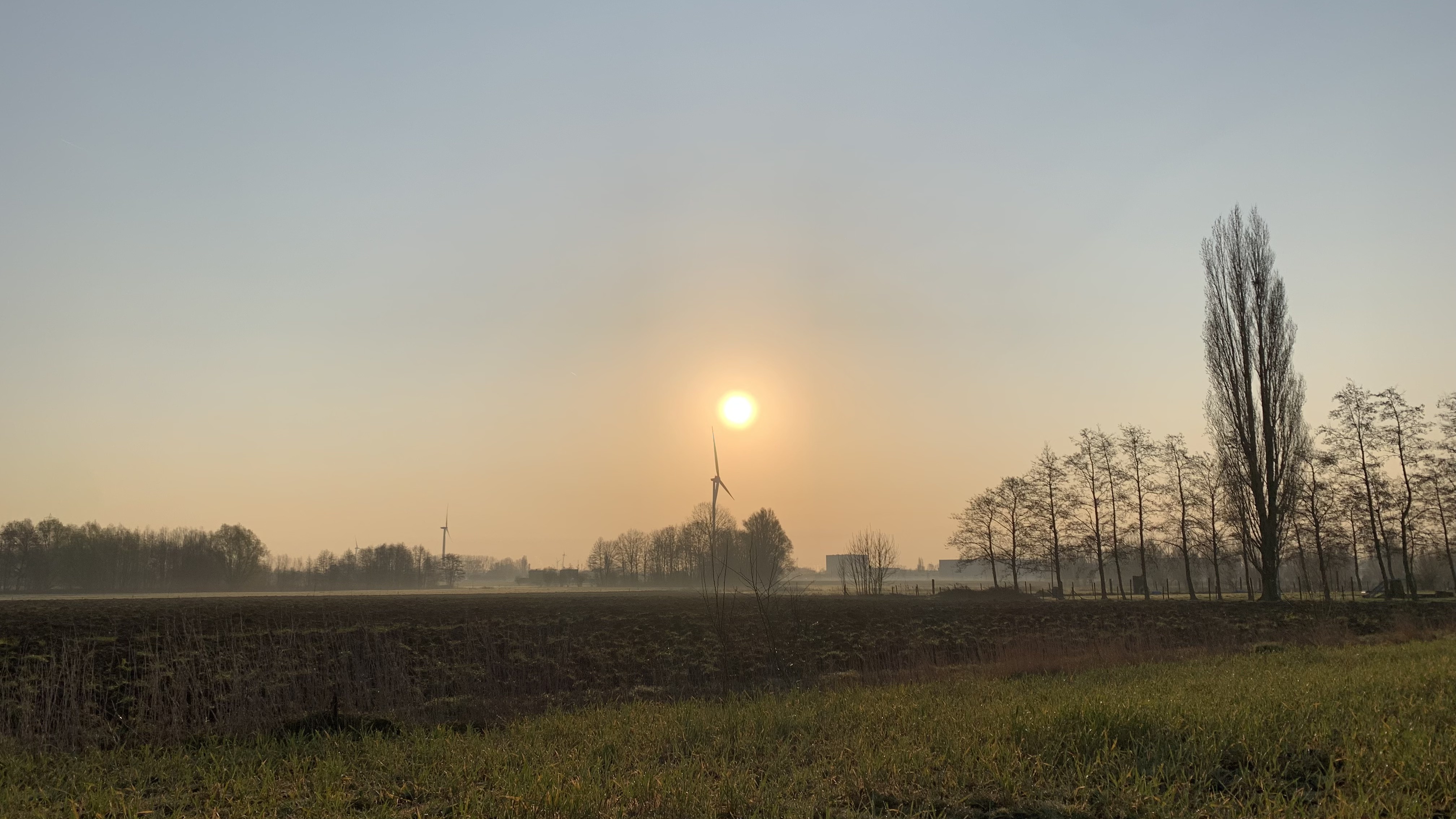 Warm sunrise