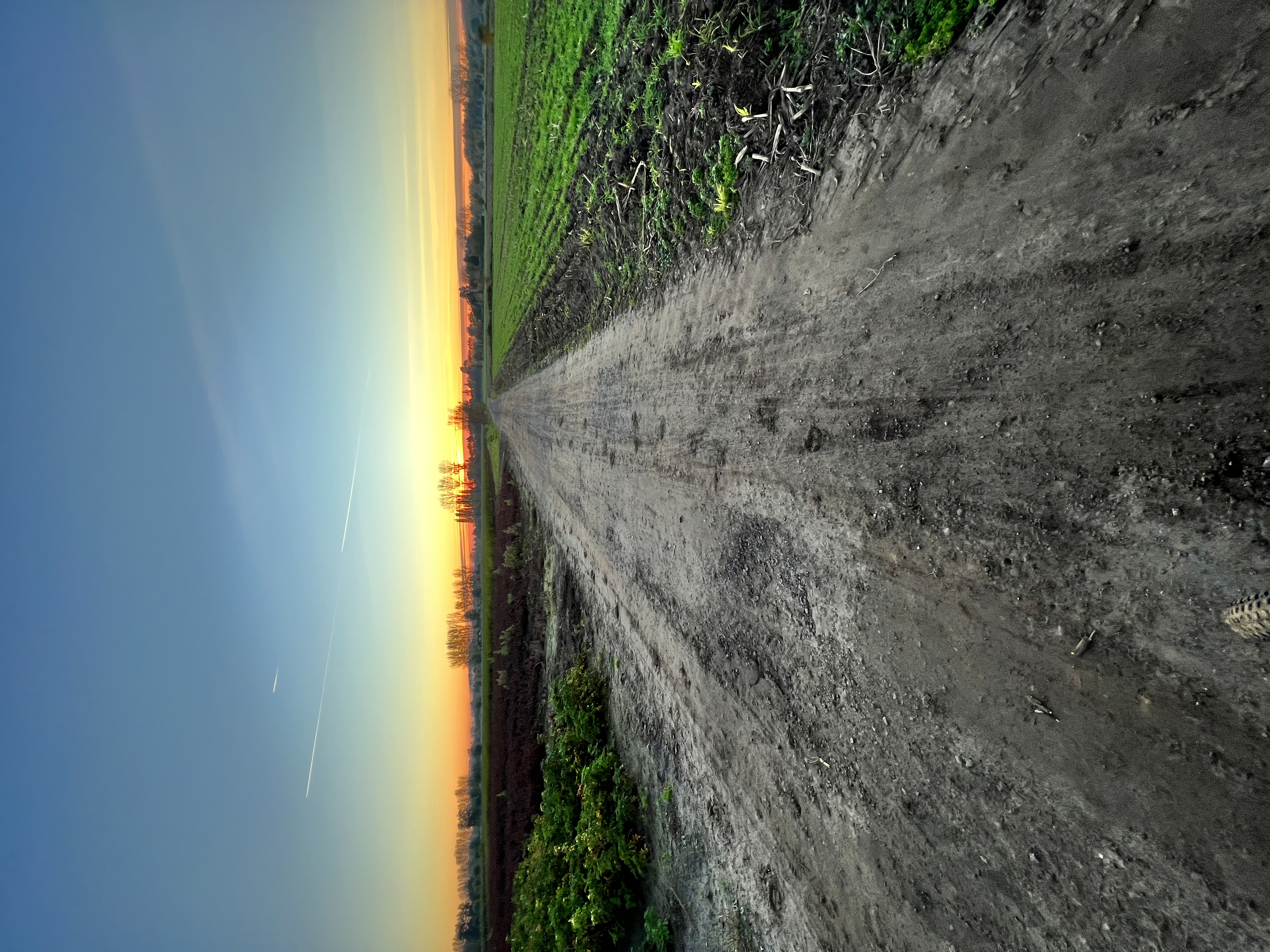 Beautiful Sunset on a cycling trail