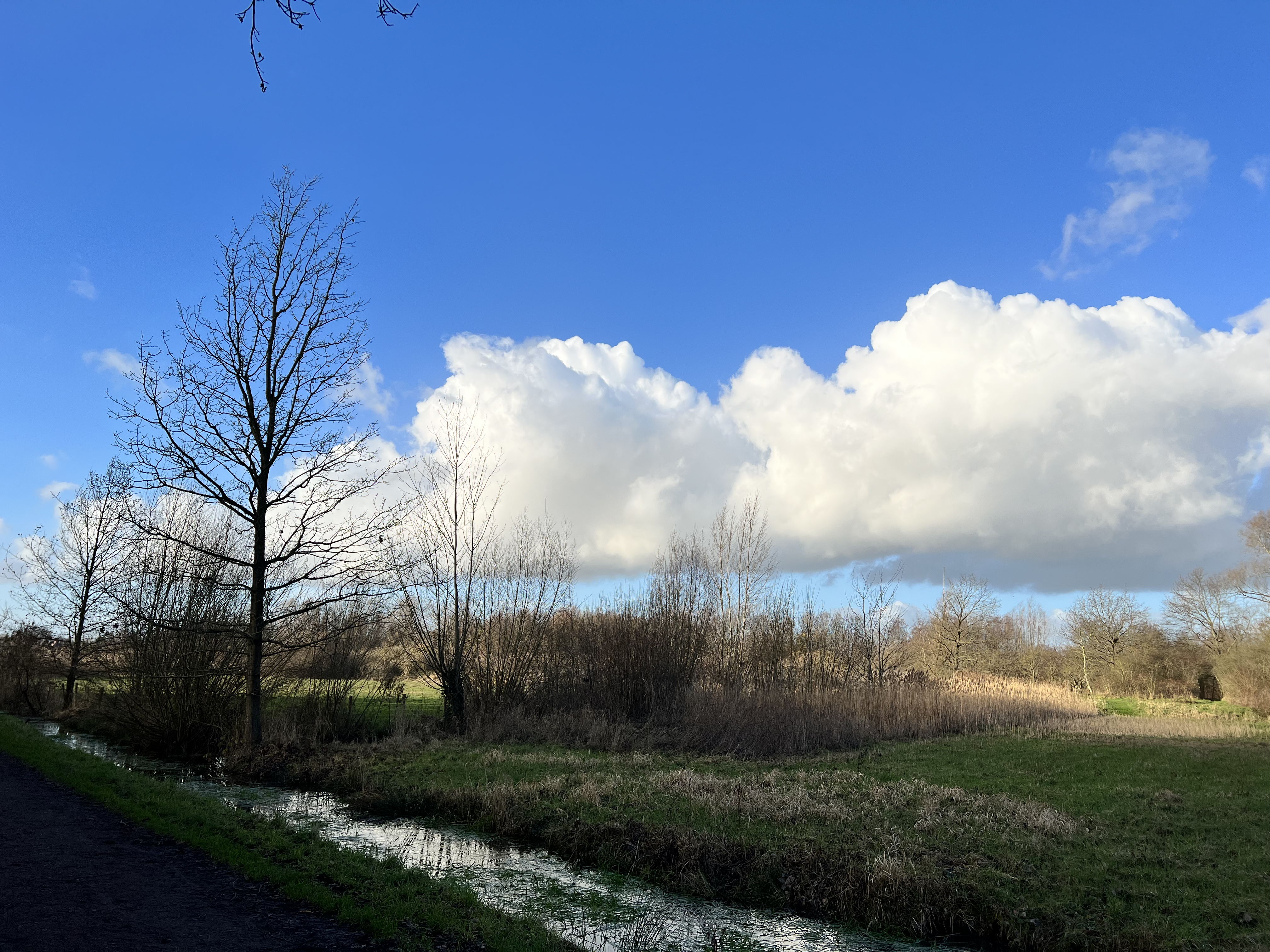 A beautiful cloud