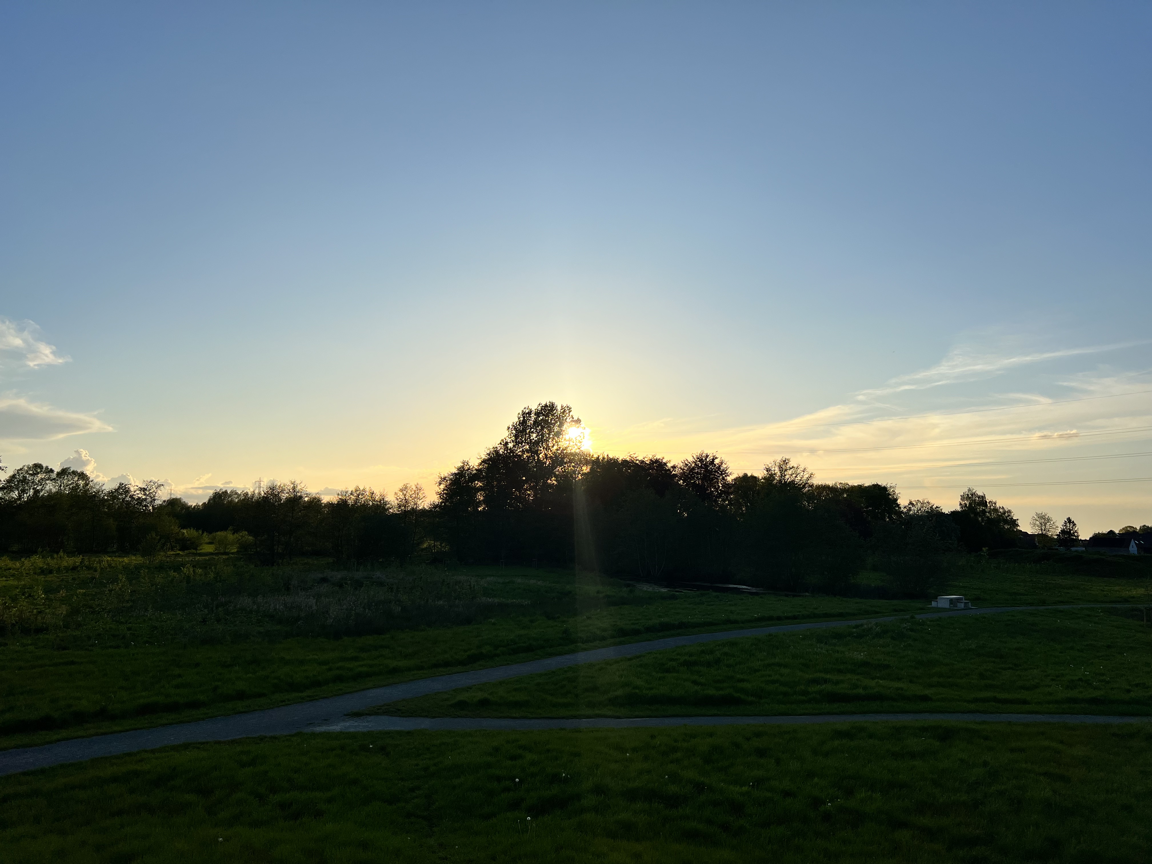 Sunrise behind trees
