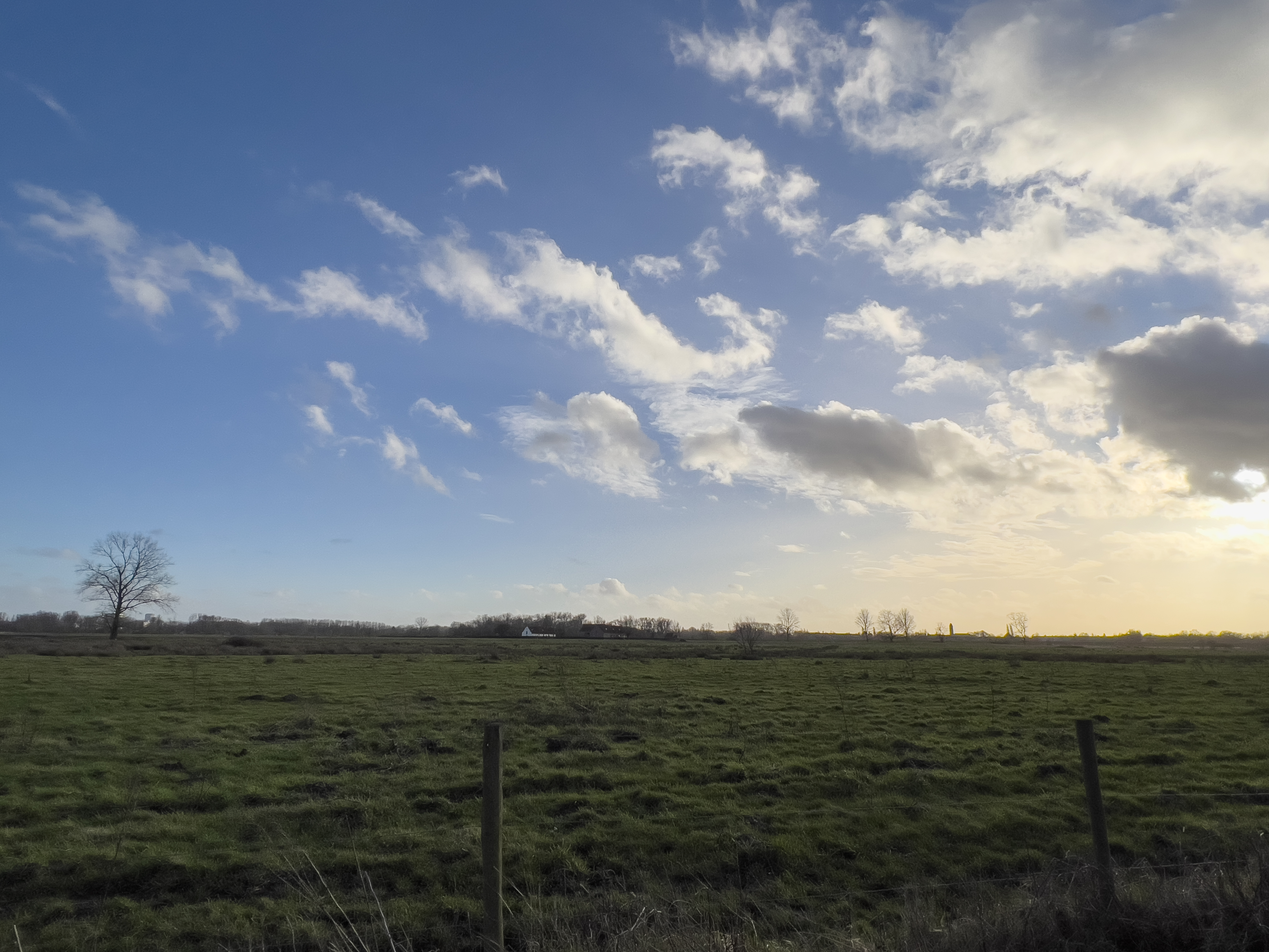 View of the skies