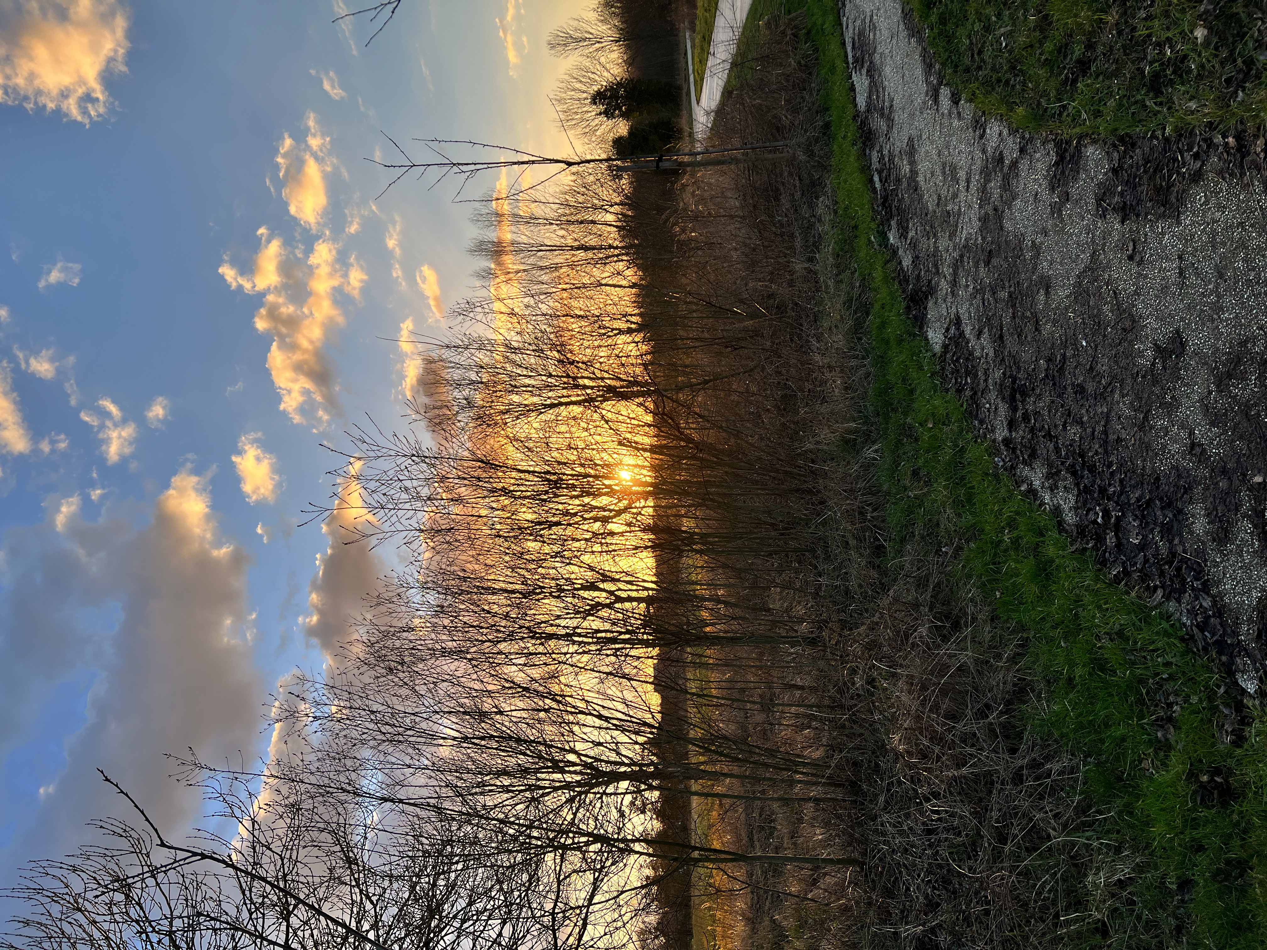 Beautiful view of the sun and a walking trail